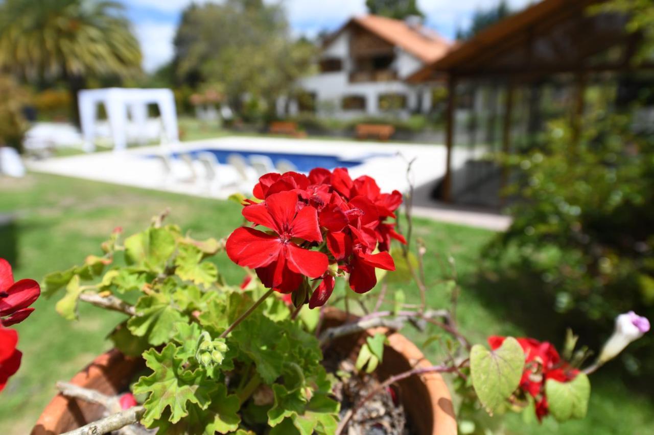ホテル Quinta La Constanza タバベラ エクステリア 写真