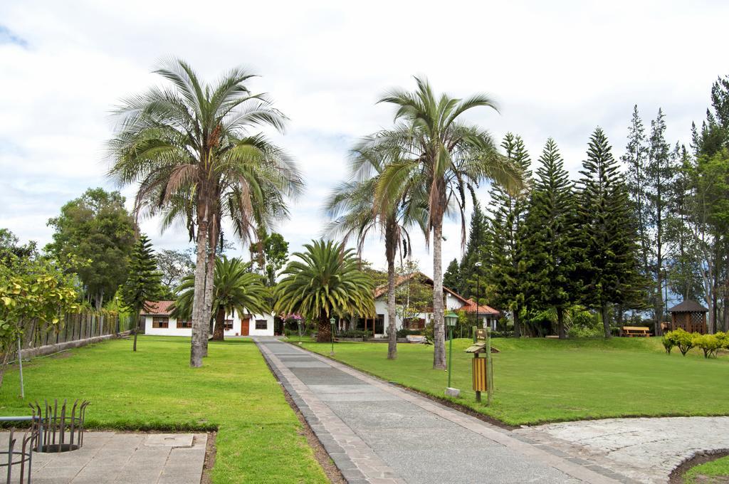 ホテル Quinta La Constanza タバベラ エクステリア 写真