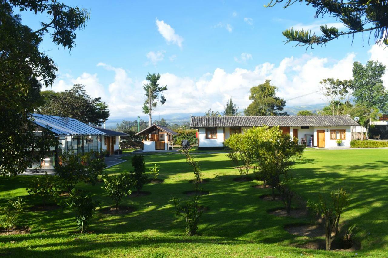 ホテル Quinta La Constanza タバベラ エクステリア 写真