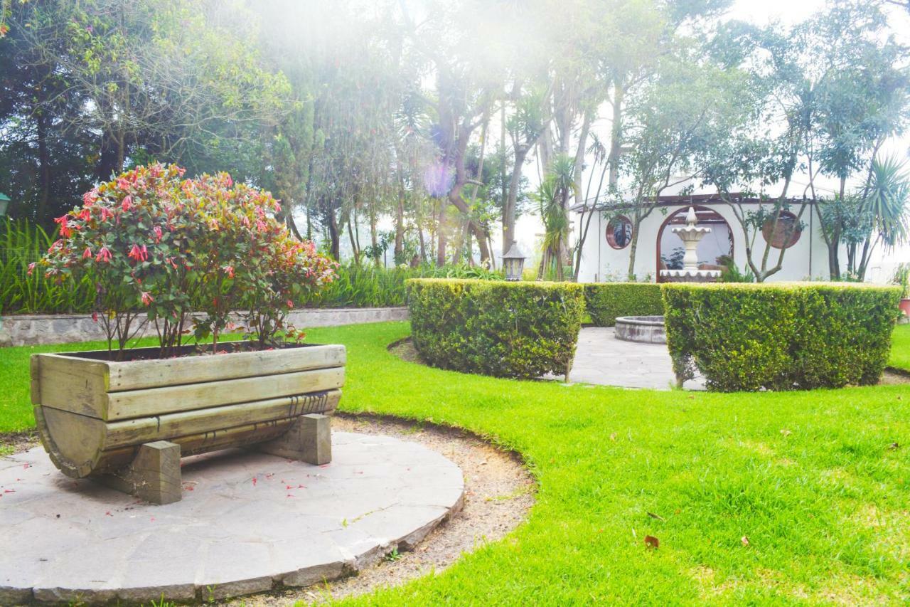 ホテル Quinta La Constanza タバベラ エクステリア 写真