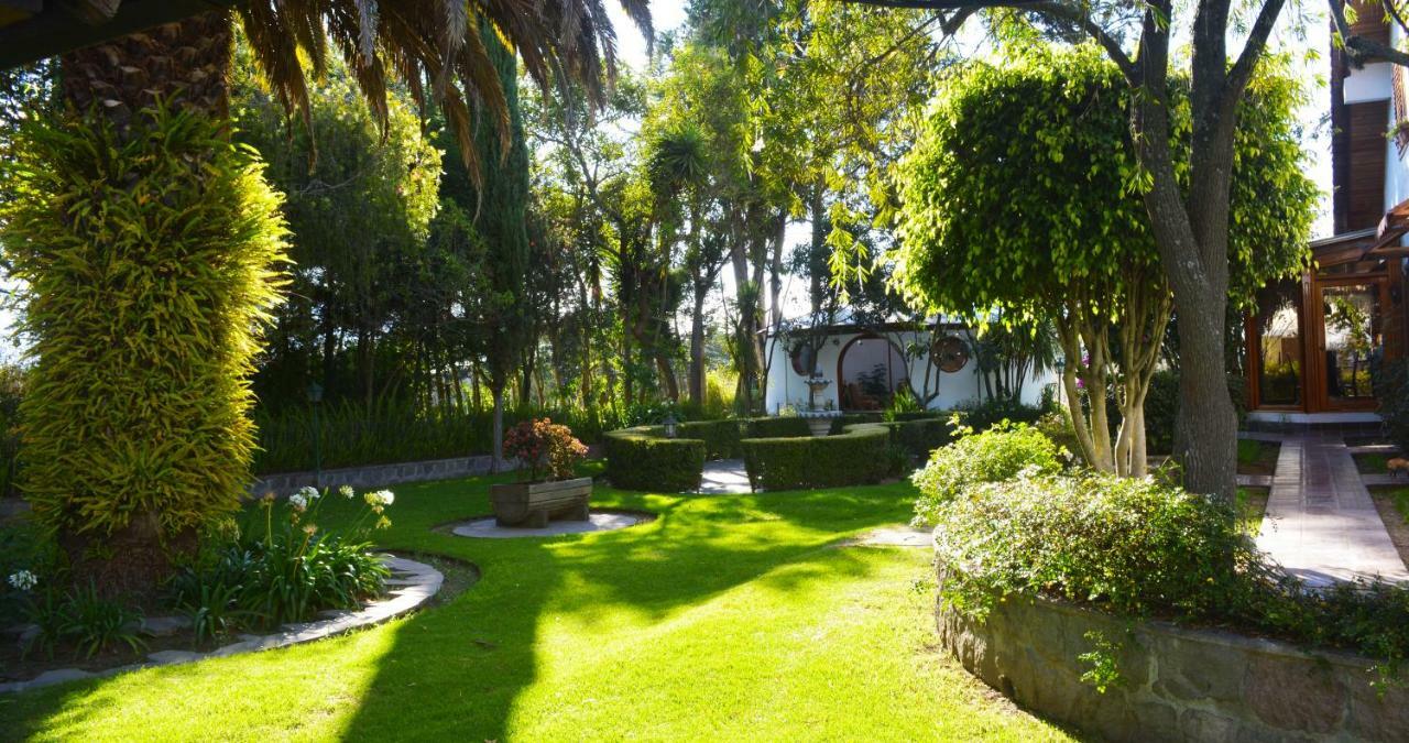 ホテル Quinta La Constanza タバベラ エクステリア 写真